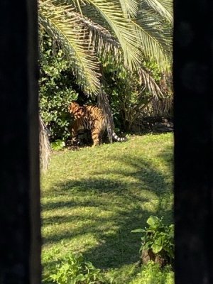 IMG_4533.JPEG