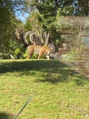IMG_4545.JPEG