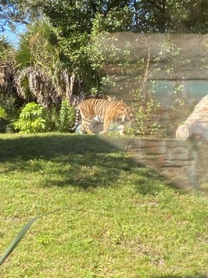 IMG_4546.JPEG