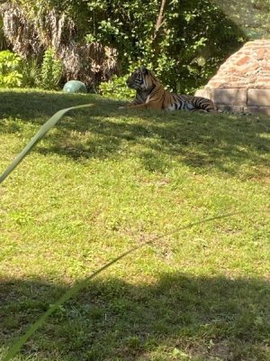 IMG_4547.JPEG