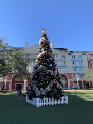 IMG_6319.jpeg