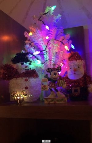 IMG_4656.jpeg
