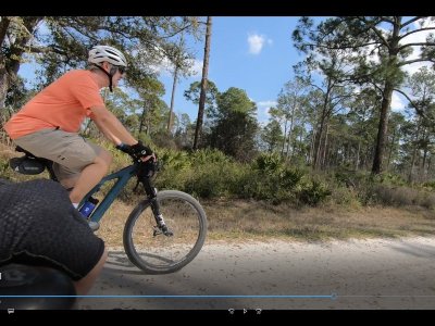 guana_ride.jpg