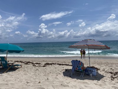 1677C037-6546-43C4-9735-A61546B0A46E.jpeg