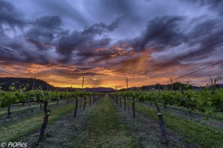 1028 King Valley-125_HDR.jpg