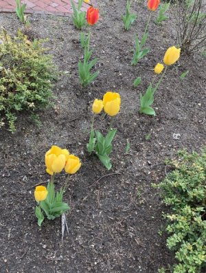 IMG_8666.jpeg