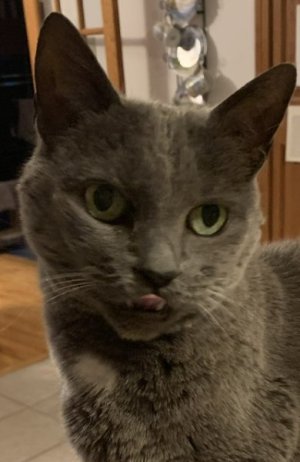 IMG_8638.jpeg