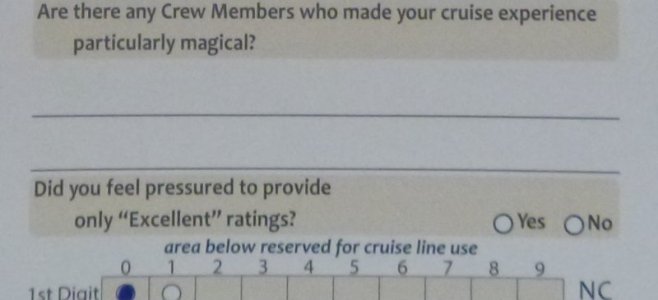 survey excellent rating.jpg