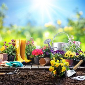 gardening-equipment-for-gardener-with-flowerpots-royalty-free-image-643182988-1555499917.jpg