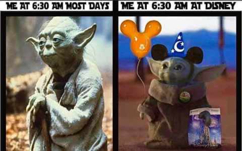 DisneyMemes-Yoda.png