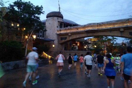 20230416_064834_crop.jpg