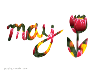 IMG_1504.gif