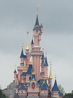 20230424_083717.jpg