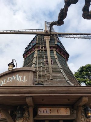 20230426_130711.jpg
