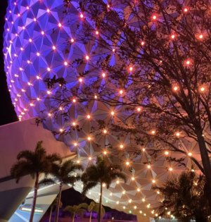 IMG_2420.jpeg