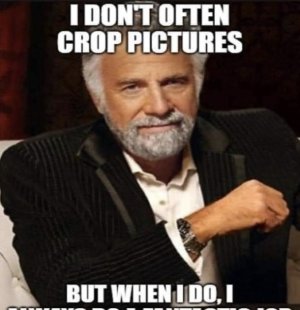 IMG_8465.jpeg