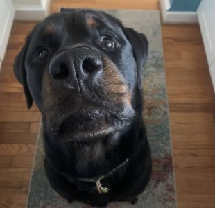 Pretty Please(LR).jpg