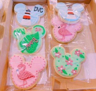 90BD3300-4ADE-45E6-8F2C-B95C31A397C8.JPG