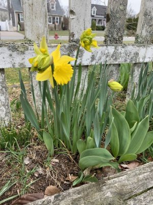 IMG_8413.jpeg