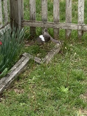 IMG_8843.jpeg