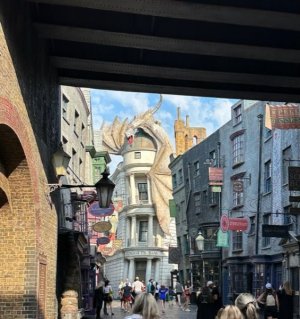IMG_9637.jpeg