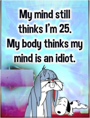 1683496061051.png