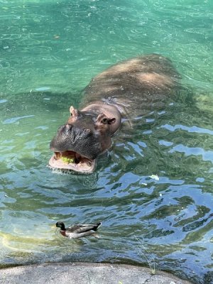 IMG_0769.jpeg