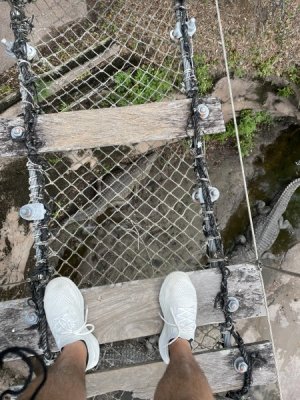 IMG_0780.jpeg