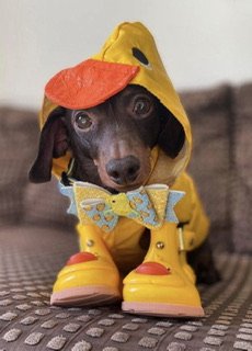 IMG_8686.jpeg