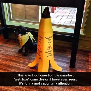 1683989169099.jpeg