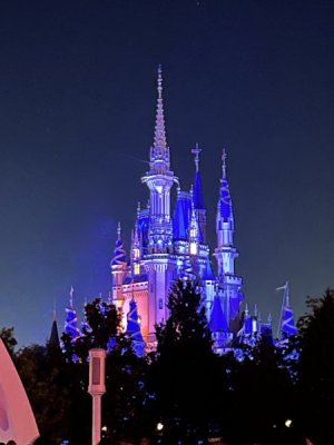 IMG_5321.jpeg
