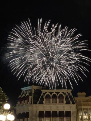 IMG_5326.jpeg