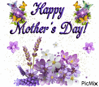 IMG_1136.gif