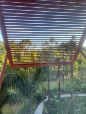 IMG_1529.jpeg