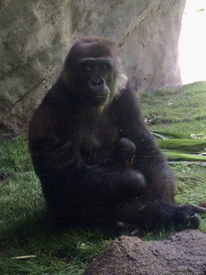 IMG_0205.jpeg