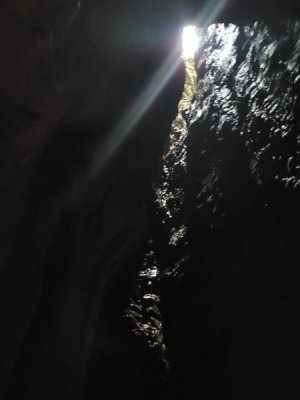 20230316_150115.jpg