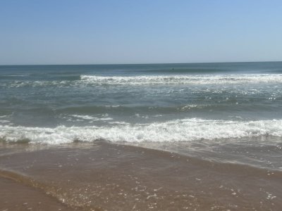 IMG_1568.jpeg