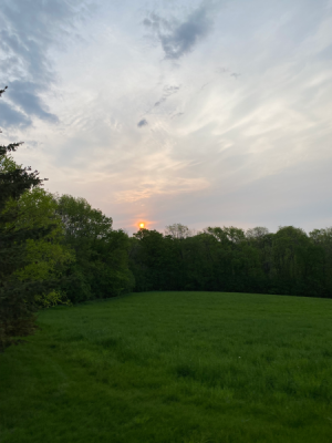 E5B23ED9-10A7-4F2E-835C-BD4C2DFA914B.jpg
