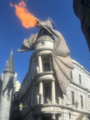 IMG_1602.jpeg