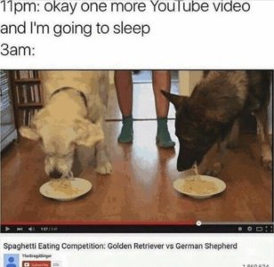 D8F73D73-BB0F-416F-AF9D-81B2B655EE35.jpeg