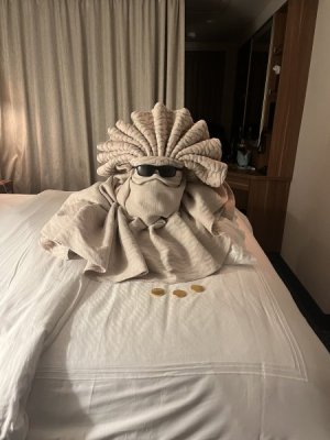 IMG_0389.jpeg