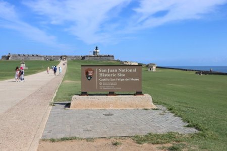 IMG_1751.jpg