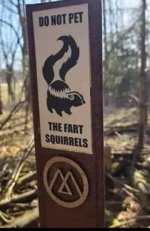 meme fart squirrels.jpg