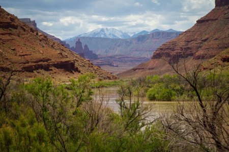 IMG_9932.jpg