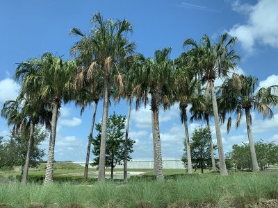 IMG_9163.jpeg
