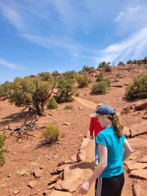nice trail.jpg