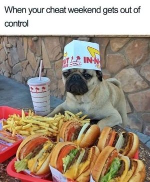 IMG_0261.jpeg