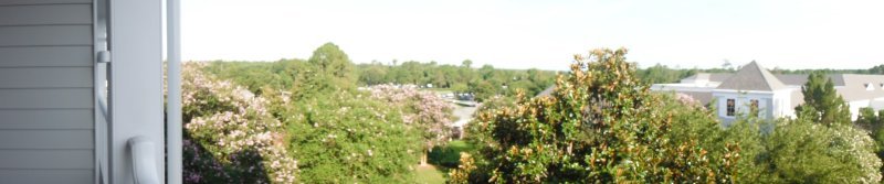 DSCF2953.JPG