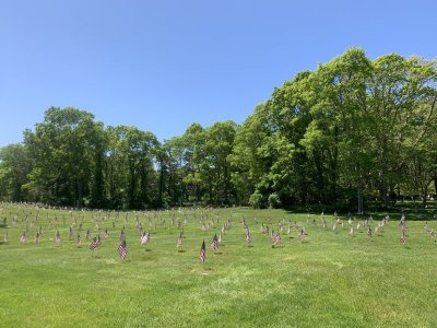 IMG_9355.jpeg