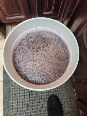 20230527_121731.jpg